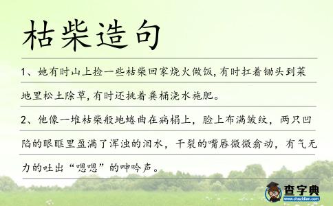 枯柴造句