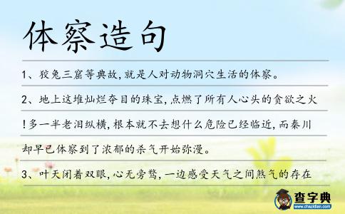 體察造句