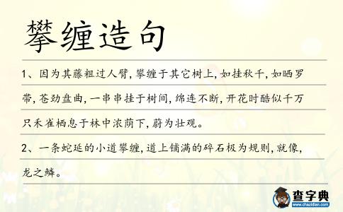 攀纏造句