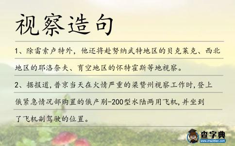 視察造句