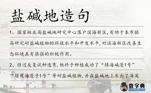 鹽堿地造句