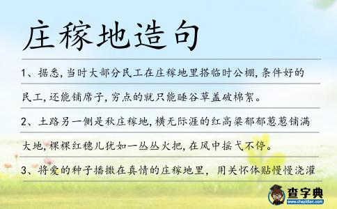 莊稼地造句