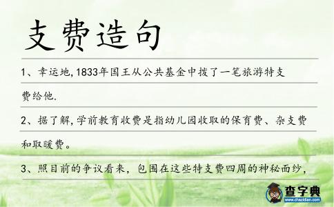 支費造句