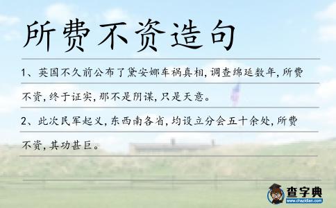 所費不資造句