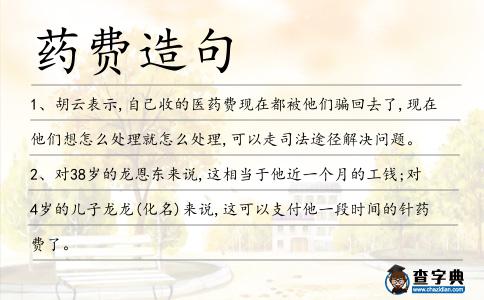 藥費造句