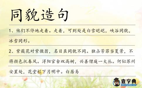 同貌造句