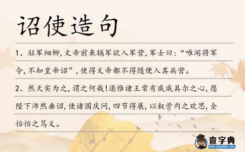 詔使造句
