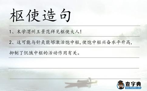 樞使造句