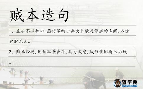 賊本造句