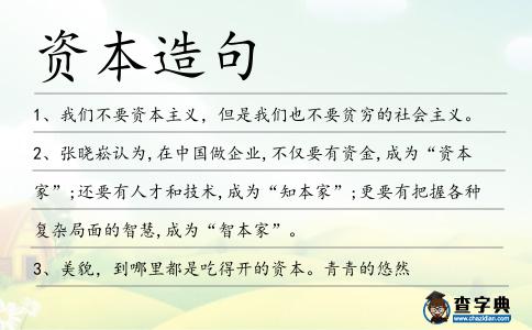資本造句