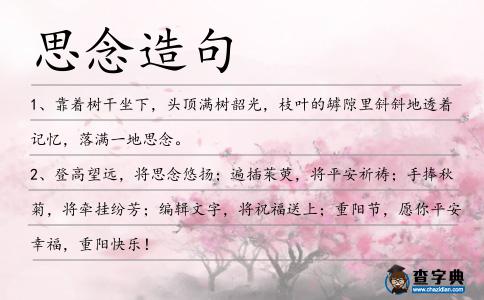 思念造句