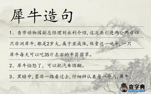 犀牛造句