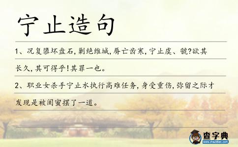 寧止造句