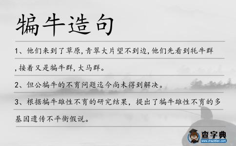 犏牛造句