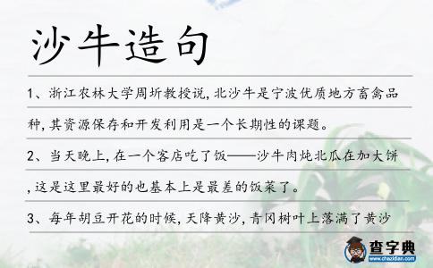 沙牛造句