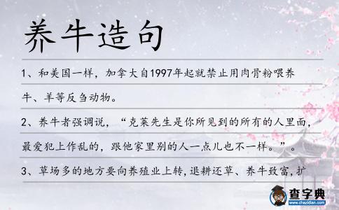 養(yǎng)牛造句