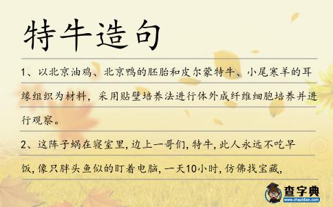 特牛造句