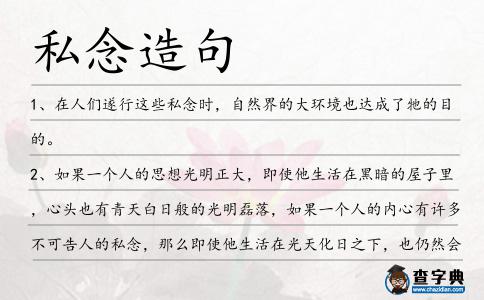 私念造句