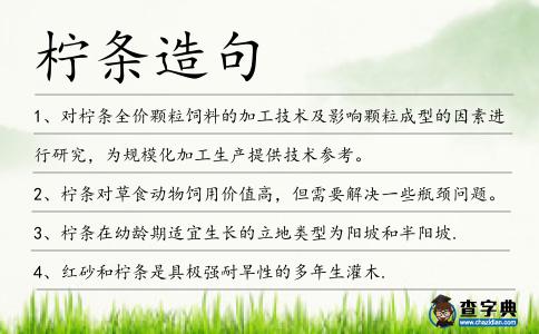 檸條造句
