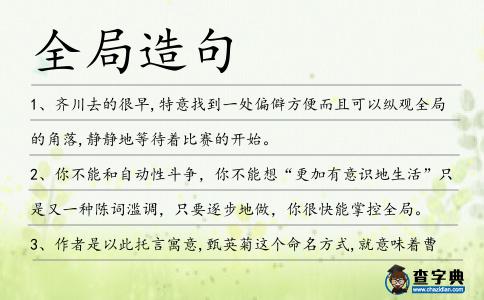 全局造句