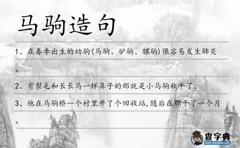 馬駒造句