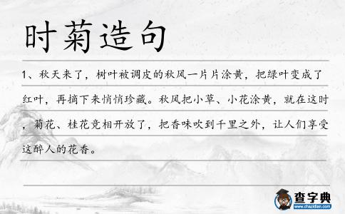 時菊造句