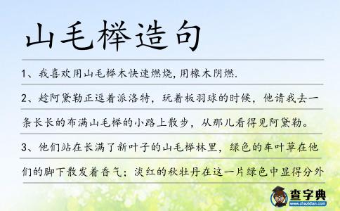 山毛櫸造句