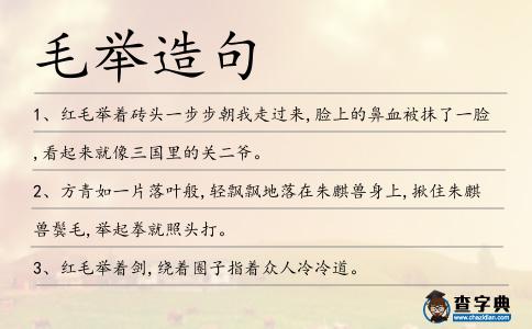 毛舉造句