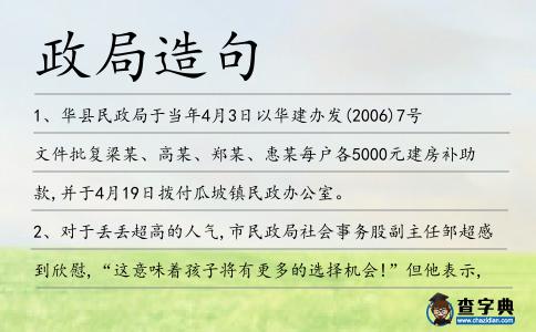 政局造句