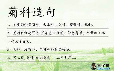 菊科造句