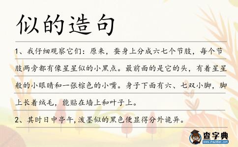 似的造句