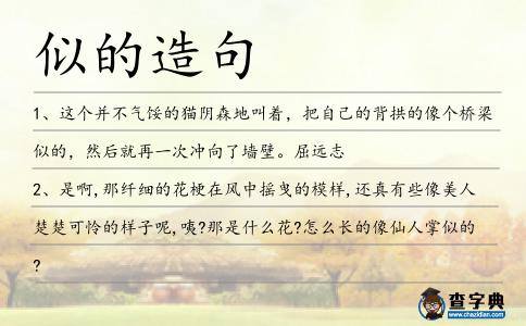 似的造句