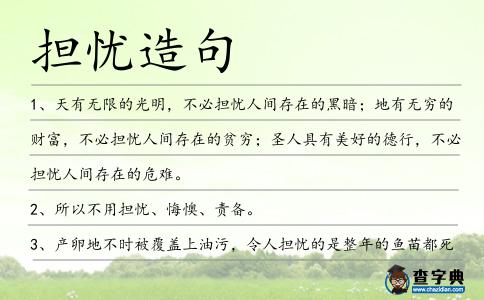 擔(dān)憂造句