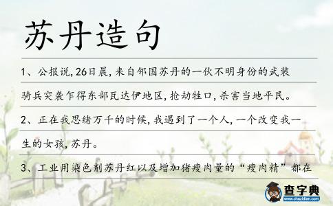 蘇丹造句