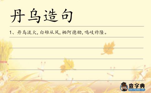 丹烏造句
