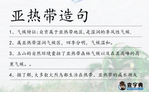 亞熱帶造句
