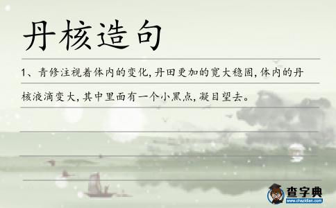 丹核造句