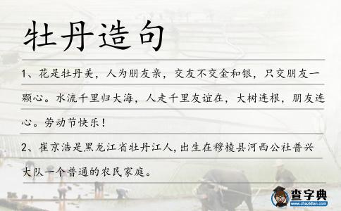 牡丹造句