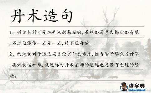 丹術造句