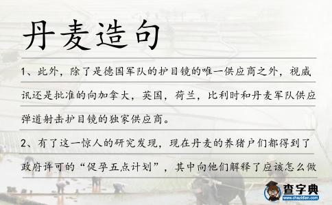 丹麥造句