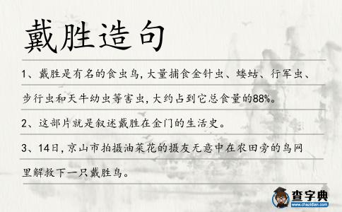 戴勝造句
