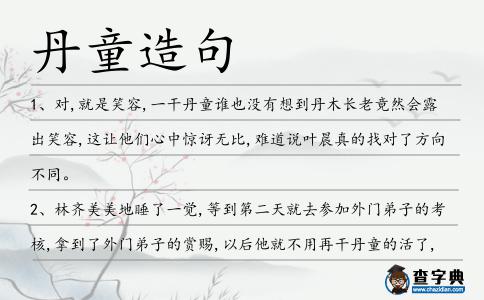 丹童造句