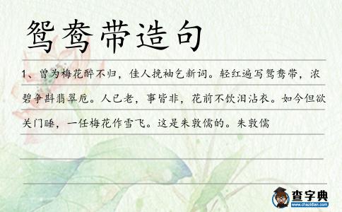 鴛鴦帶造句