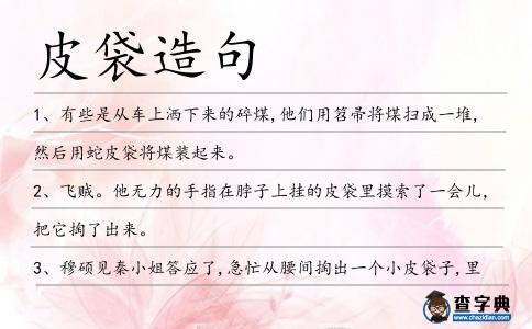 皮袋造句
