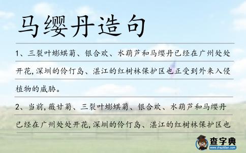 馬纓丹造句