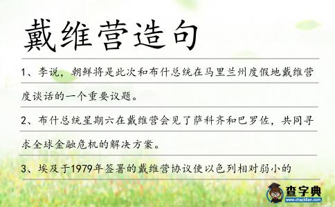 戴維營造句