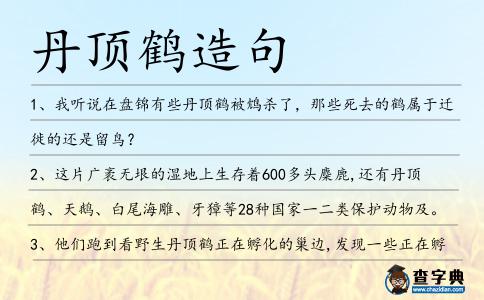 丹頂鶴造句