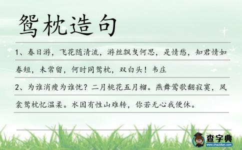 鴛枕造句