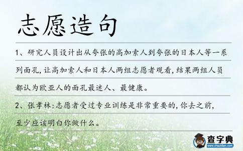 志愿造句