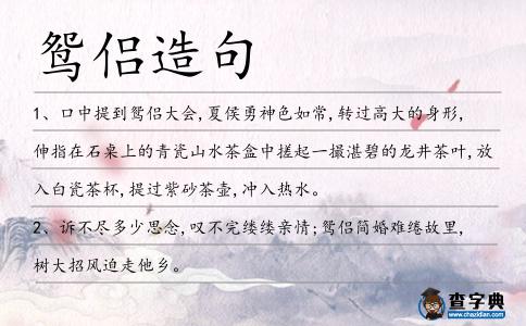 鴛侶造句